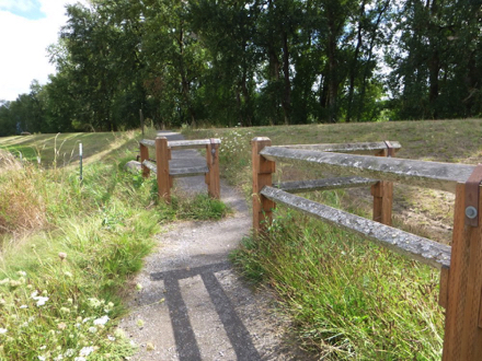 End of Gibbons Creek Trail at the gravel Columbia River Dike Trail – dike trail is along the Columbia River